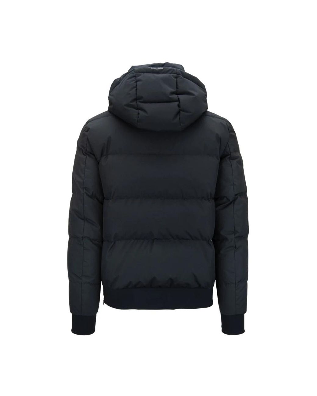 Herno Down Jackets in het Blue voor heren