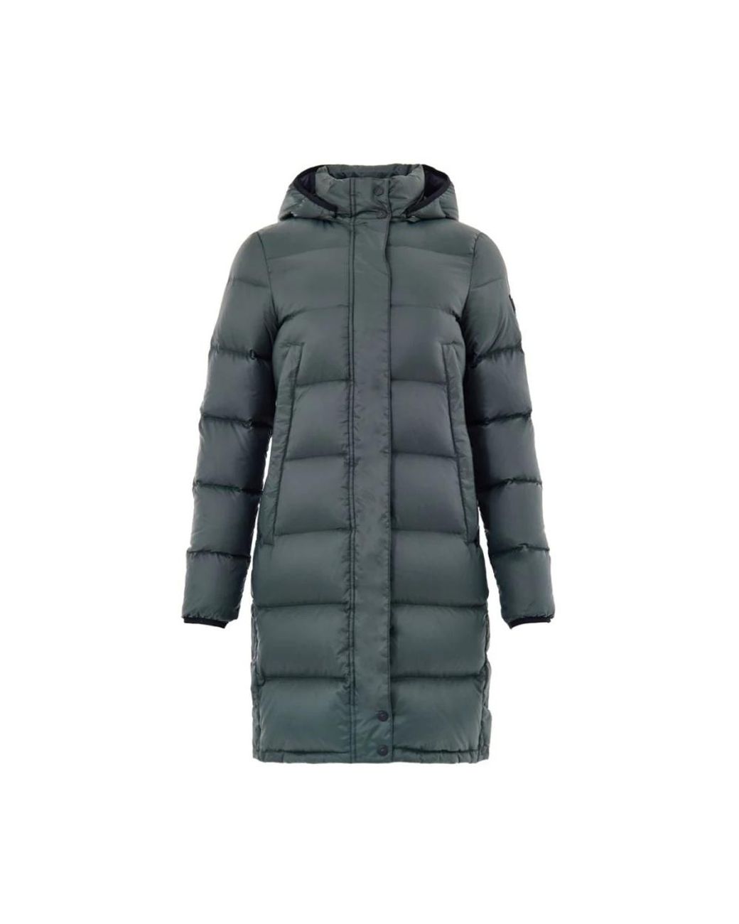 Parkas Moose Knuckles en coloris Gray
