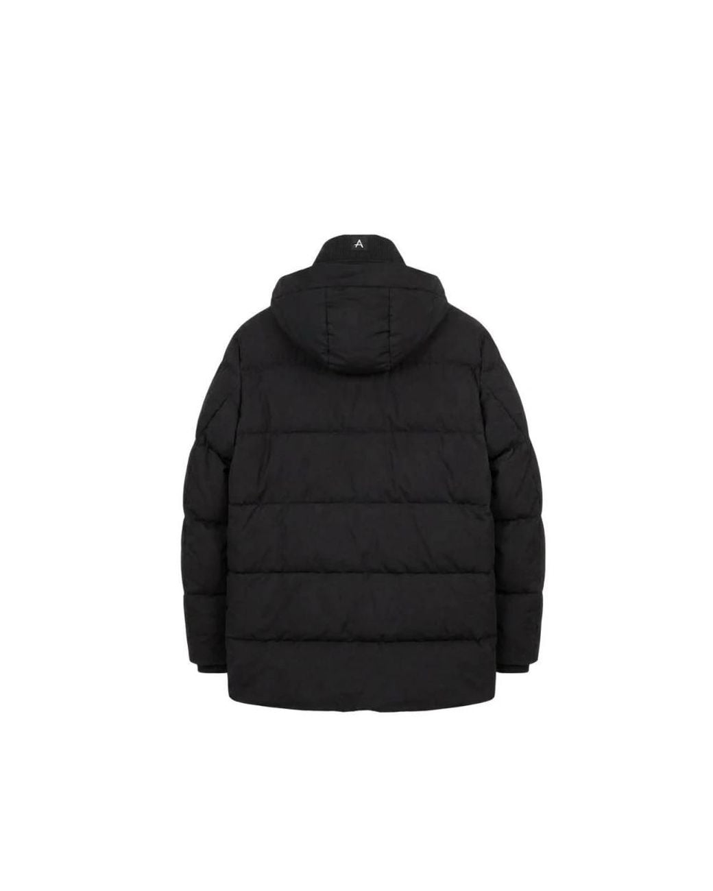 Winter Jackets Paul & Shark pour homme en coloris Black