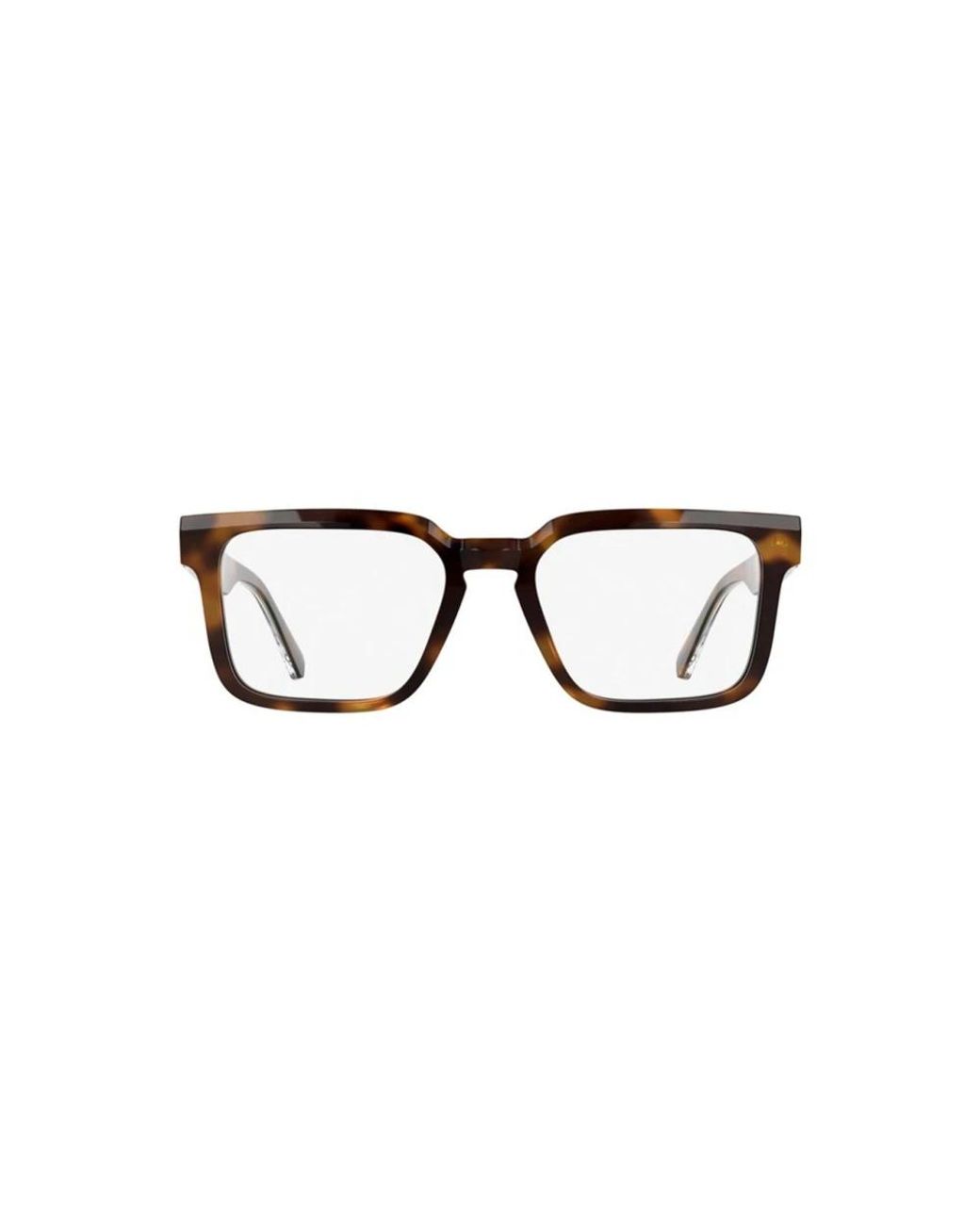 Lacoste Brown Glasses