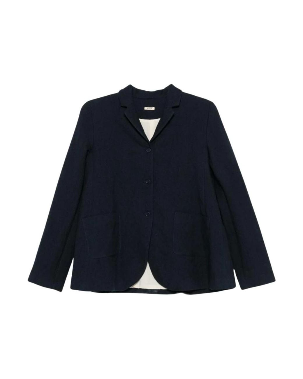 Apuntob Blue Blazers