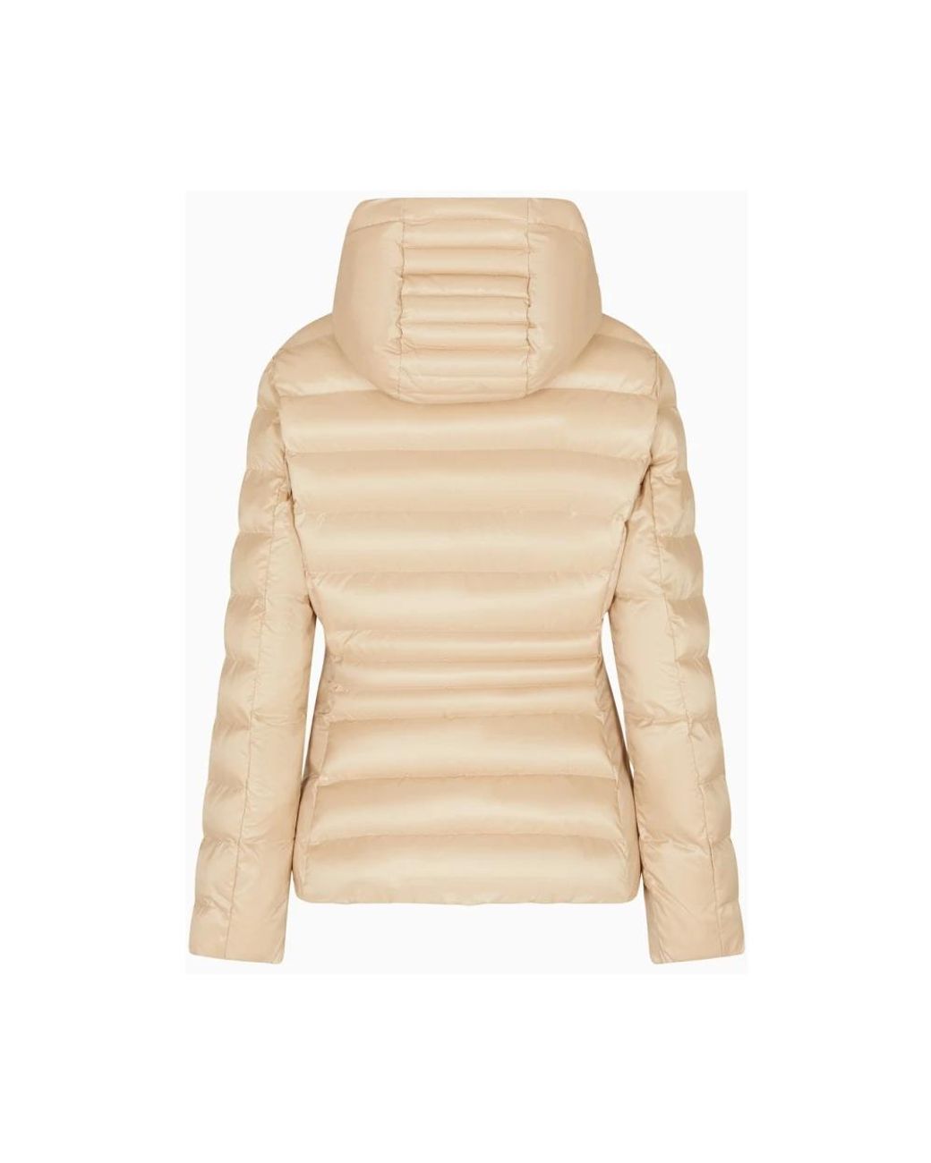 Winter Jackets EA7 de color Natural