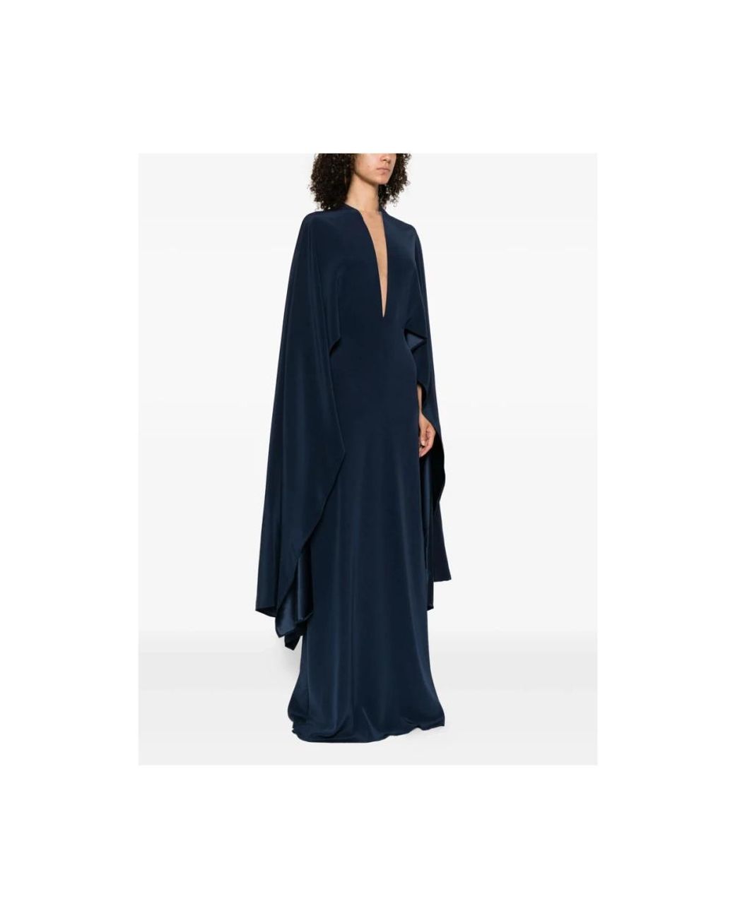 Stephane Rolland Blue Gowns