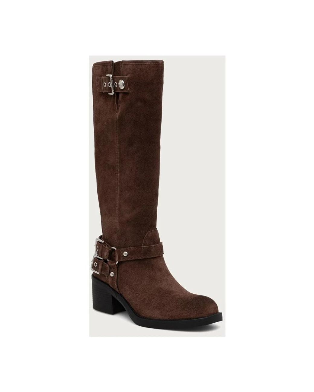 High Boots Guess en coloris Brown