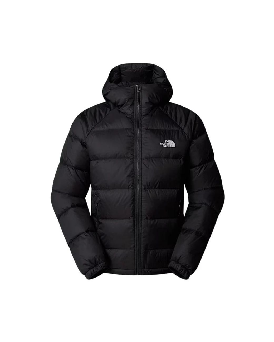 The North Face Black Winter Jackets for men