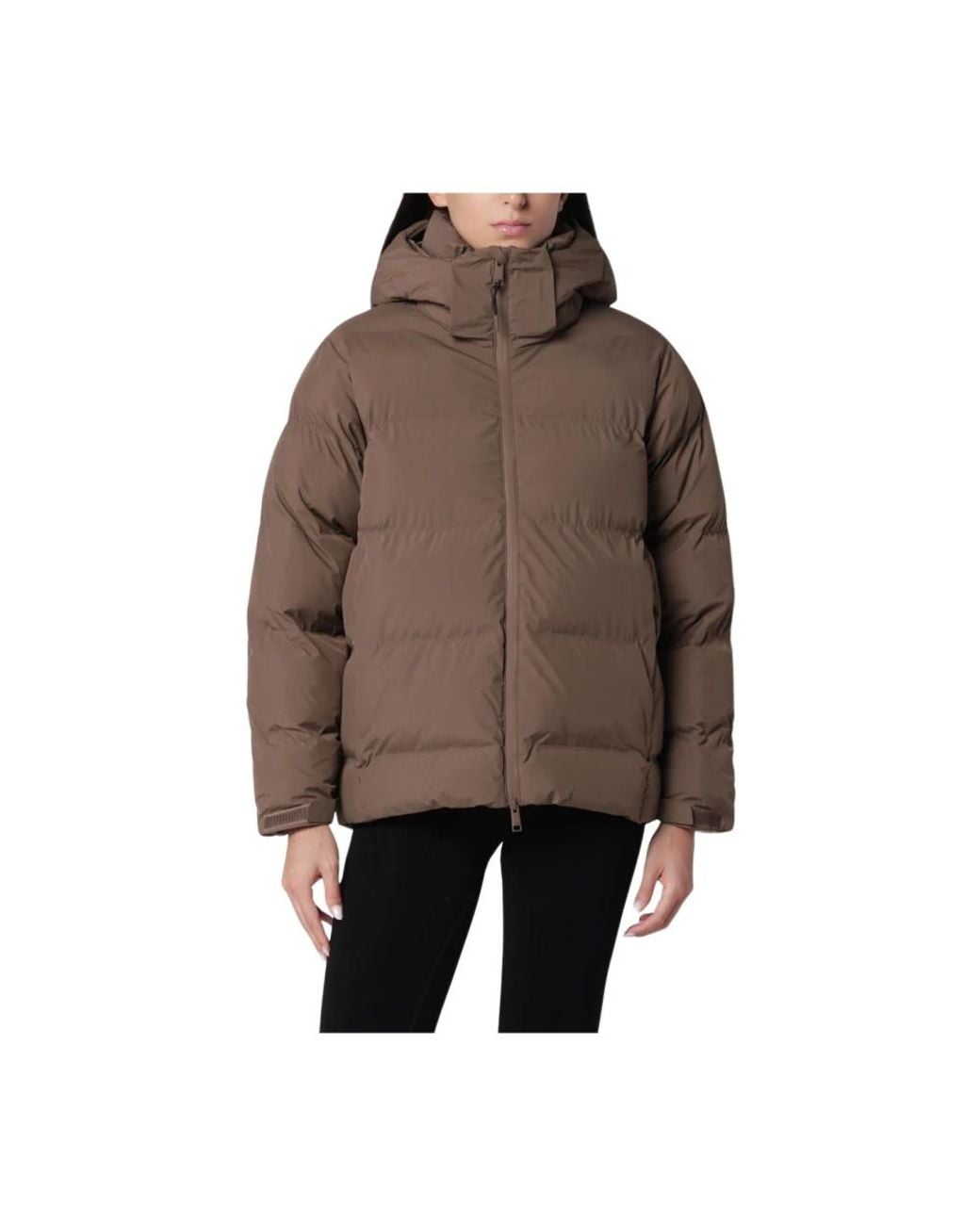 Winter Jackets Tretorn en coloris Brown