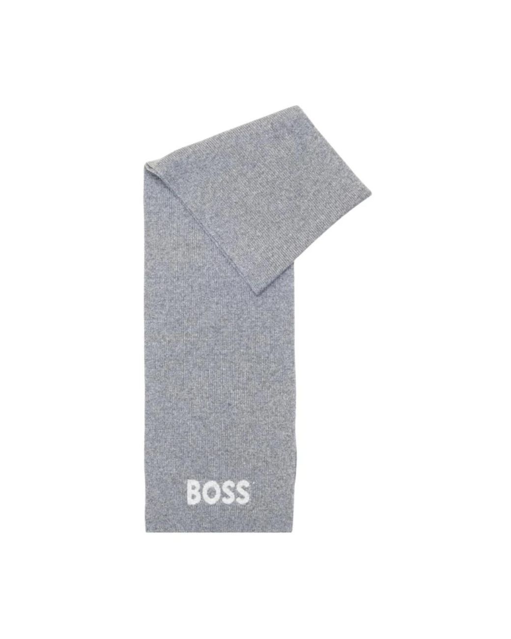 Boss Gray Winter Scarves