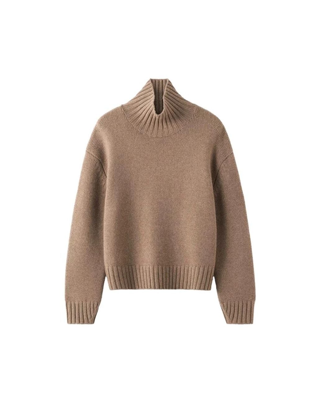 Turtlenecks Almala de color Brown