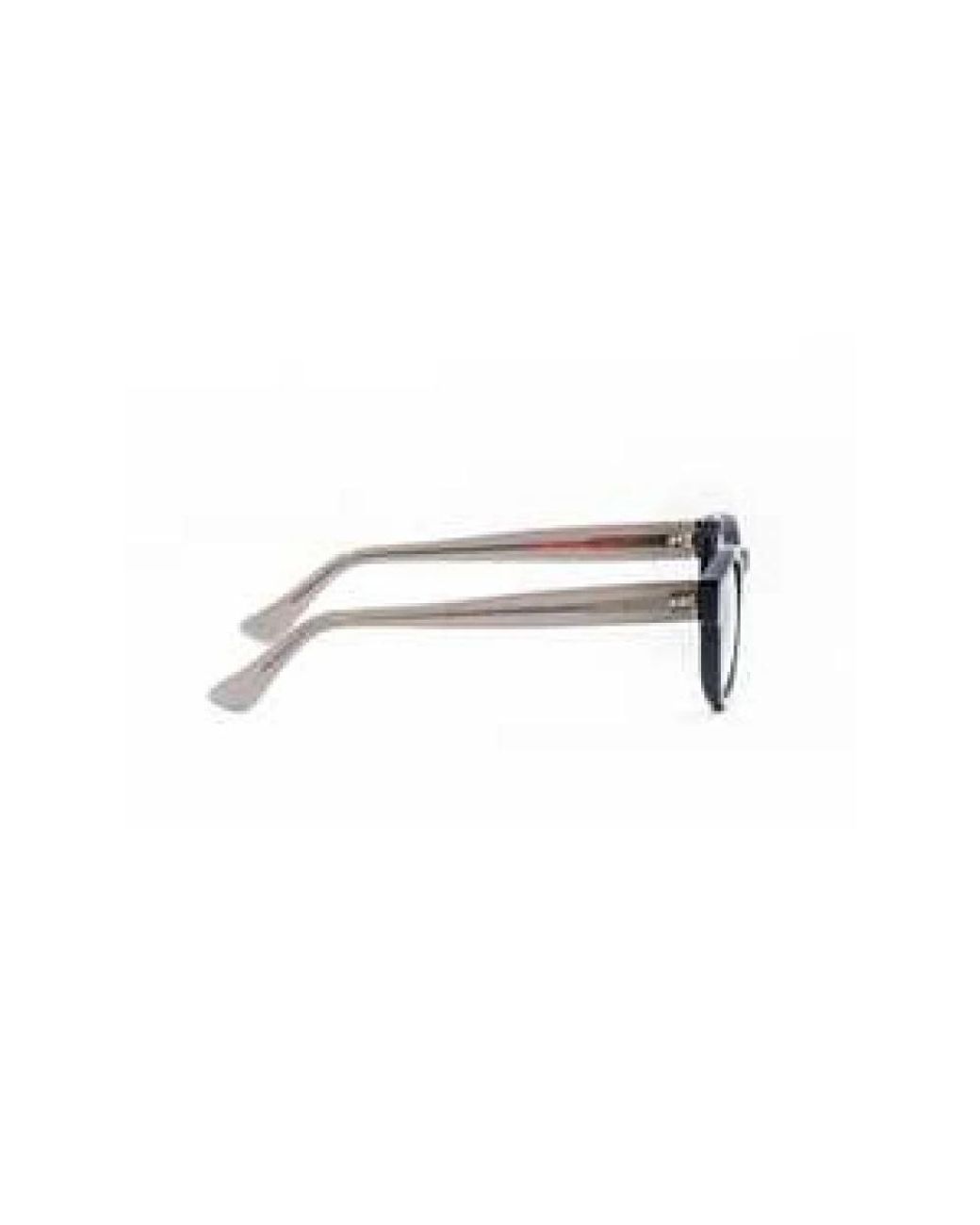 Moli Limo Gray Glasses