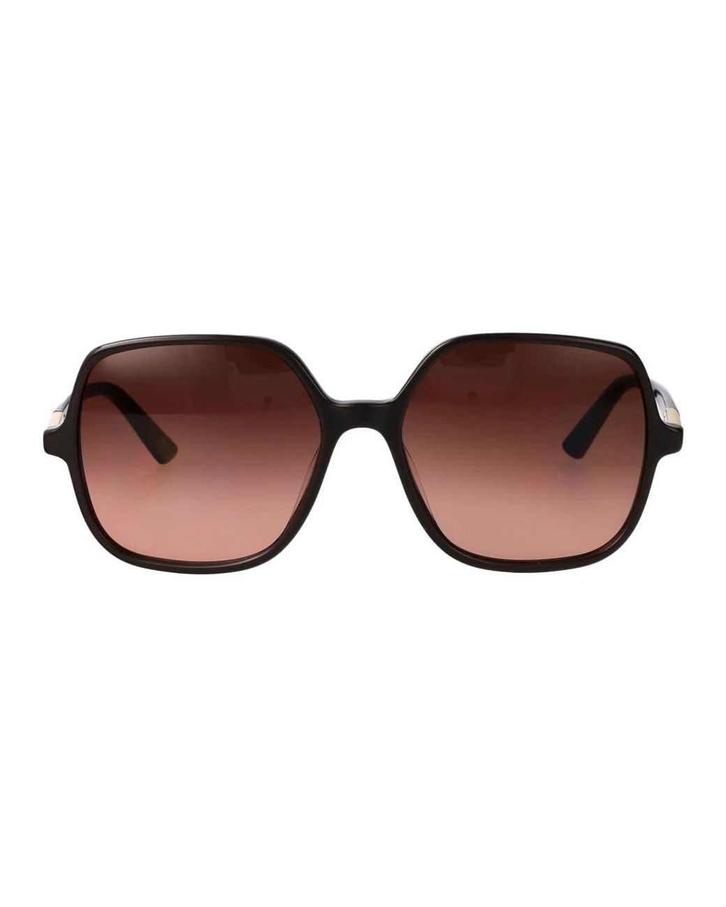Chloé Brown Ch0362S Sonnenbrille