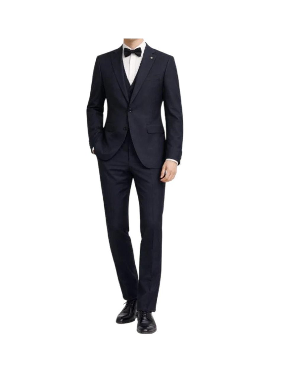 Bharnaba Blue Single Breasted Suits for men