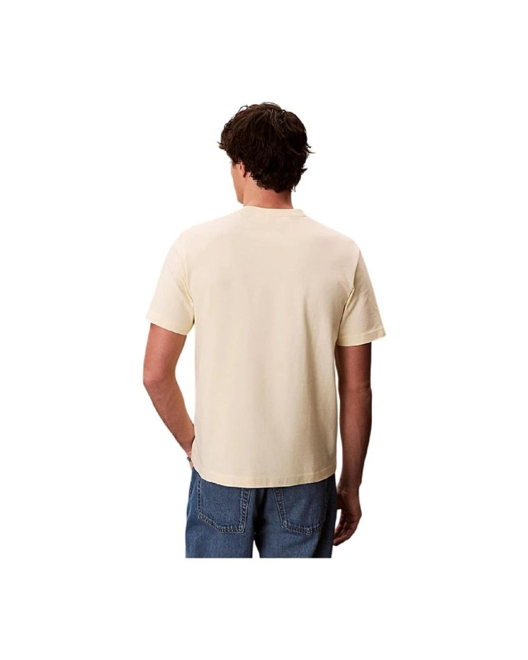 Calvin Klein Blue T-Shirts for men
