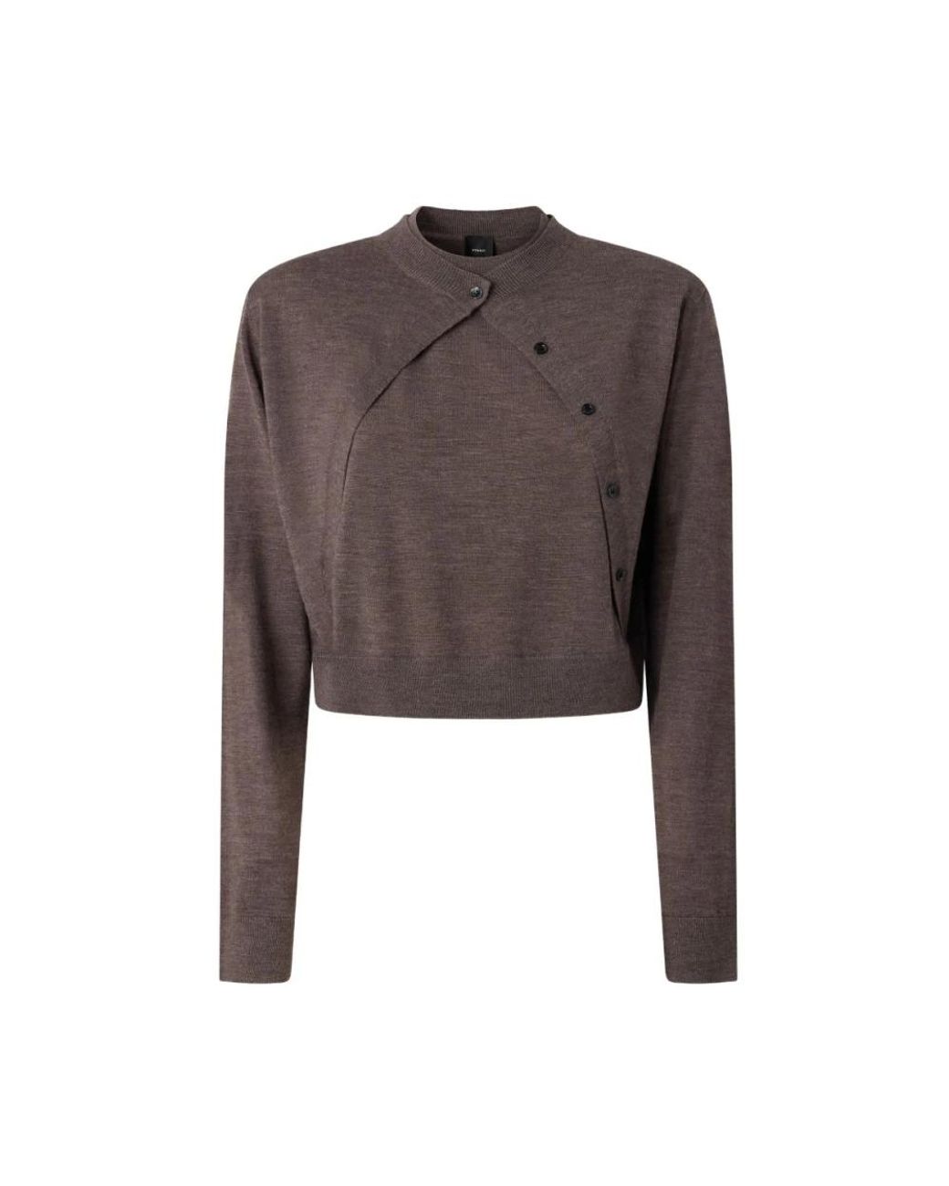 Cardigans Pinko en coloris Brown