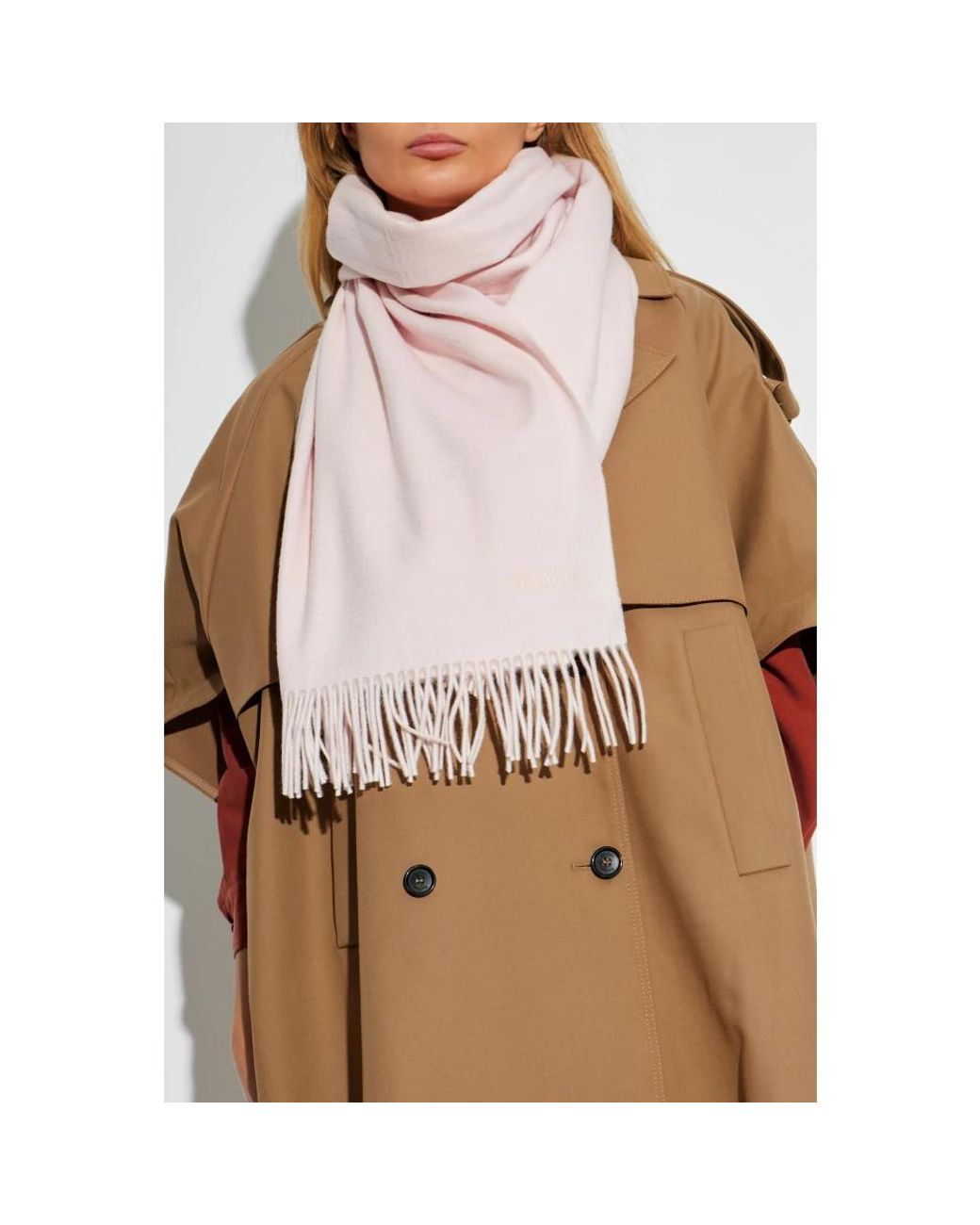 Max Mara Pink Winter Scarves
