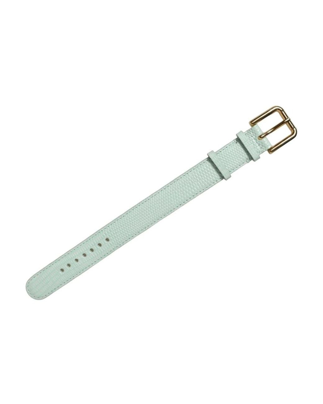Dolce & Gabbana Green Belts