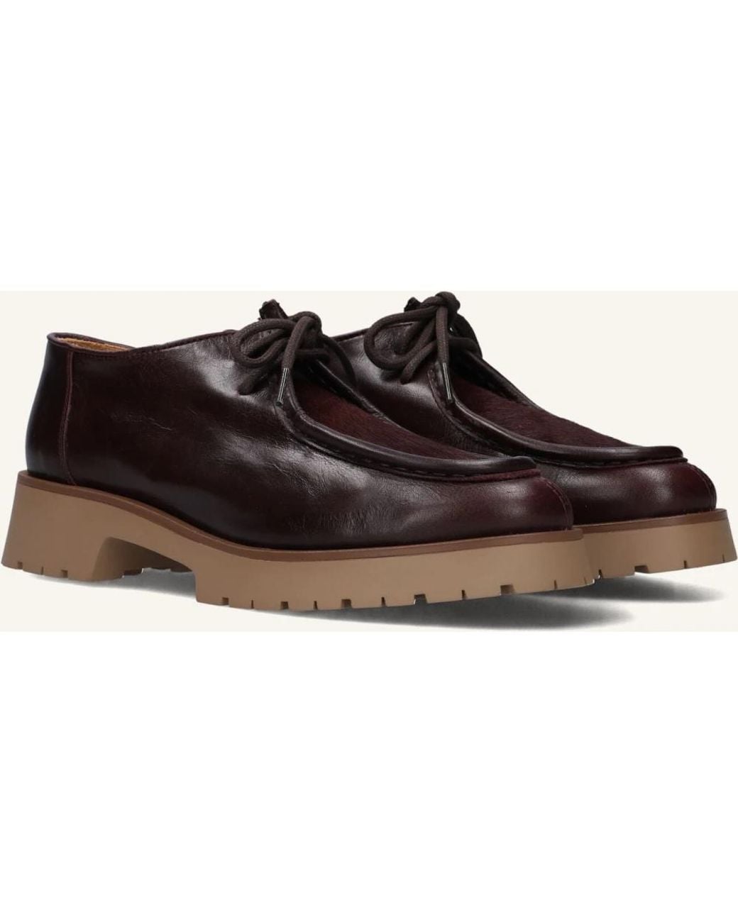 CTWLK Brown Laced Shoes