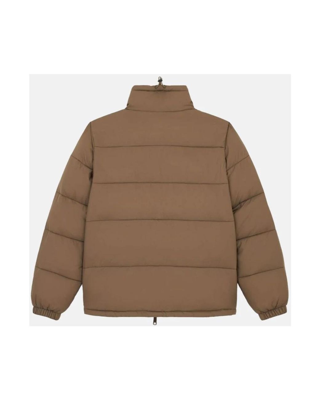 Winter Jackets Dickies de hombre de color Brown
