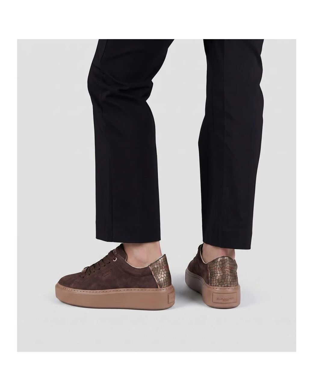 Alexander Smith Brown Sneakers