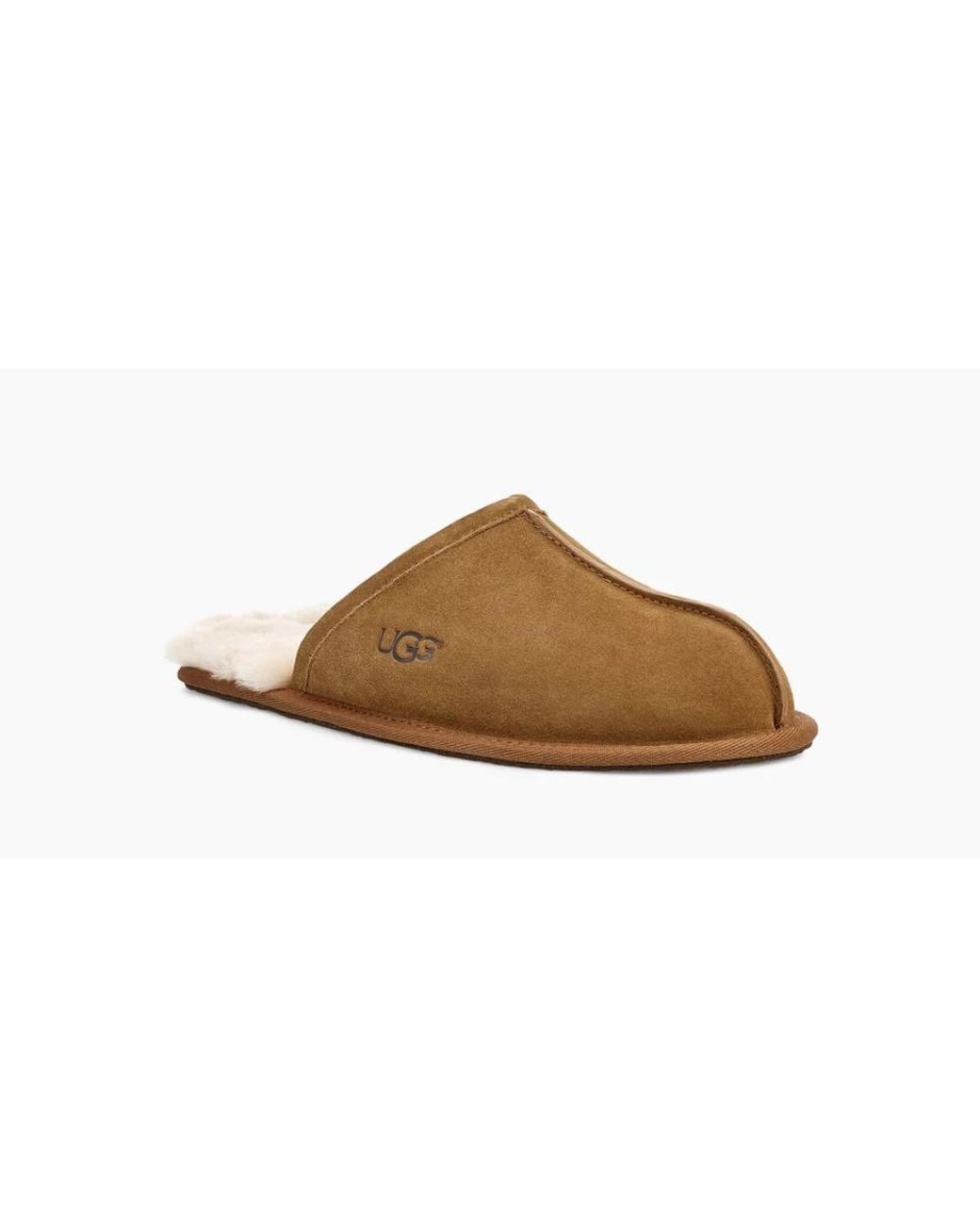 Slippers Ugg de hombre de color Brown
