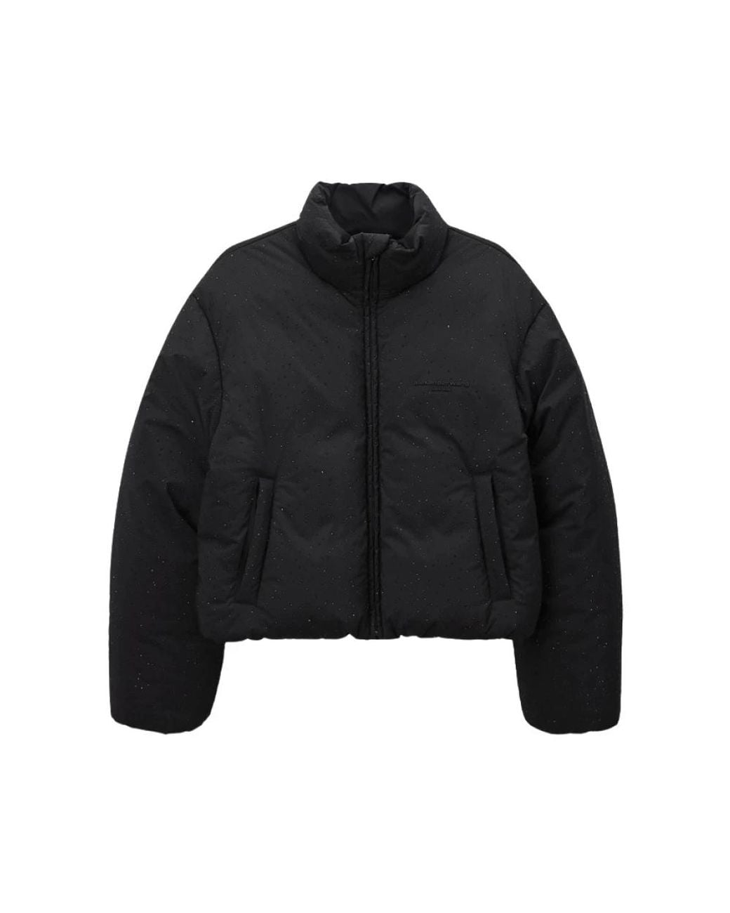 Winter Jackets Alexander Wang de color Black