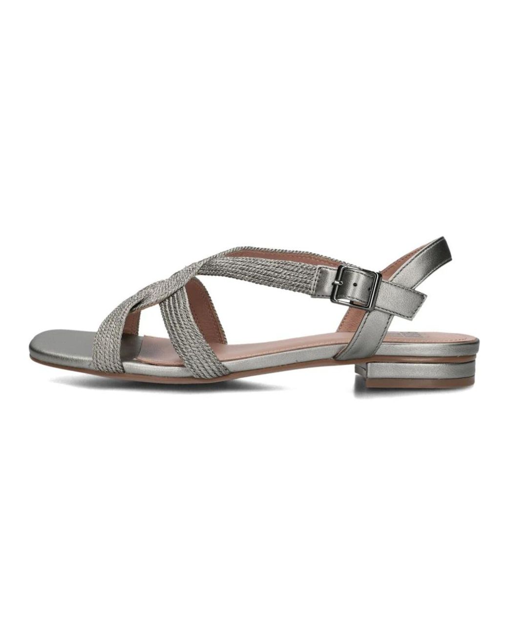 Bibi Lou Schoenen ,Grijs ,Grijze Sandalen Voor Stijlvolle Zomerdagen in het Brown