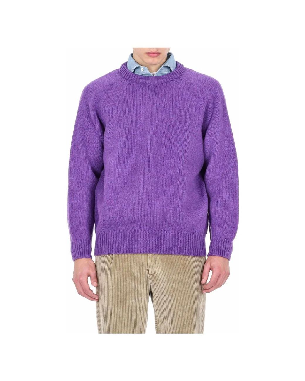 Howlin' By Morrison Purple Round-Neck Knitwear for men