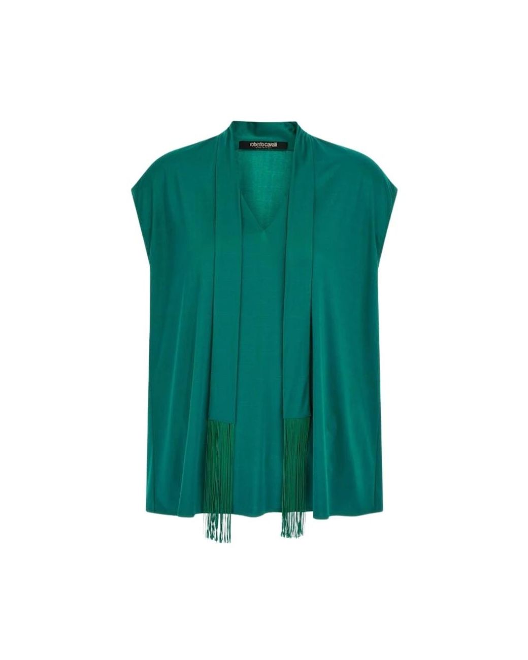 Roberto Cavalli Overhemden ,Blauw ,Blouses & Shirts in het Green