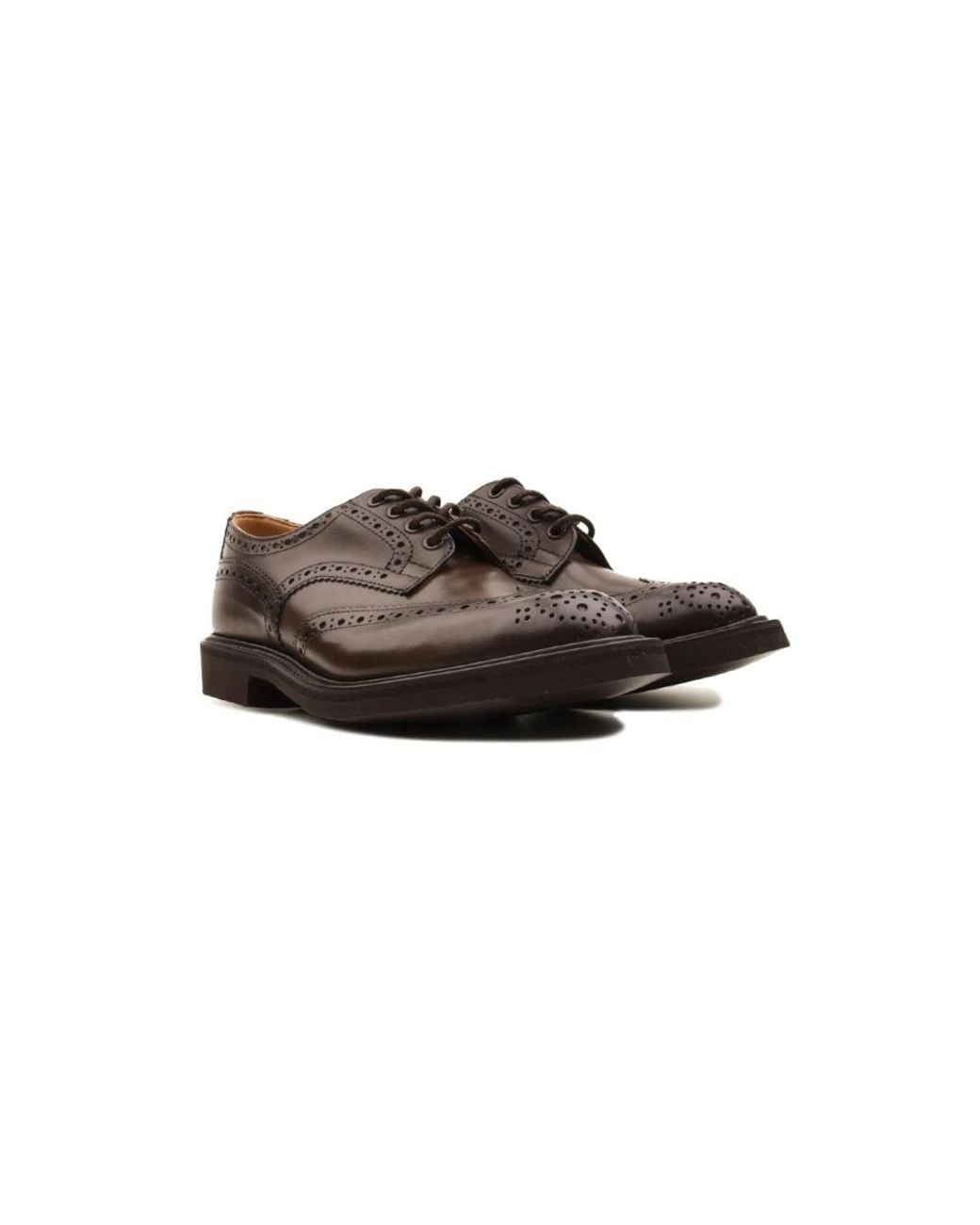 Tricker's Brown Laced Shoes for men
