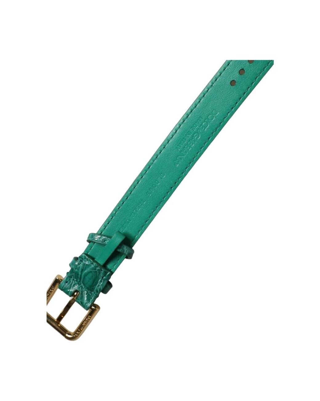 Dolce & Gabbana Green Belts