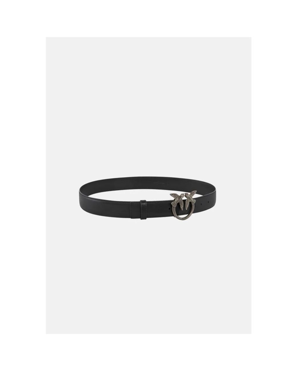 Belts Pinko de color Black