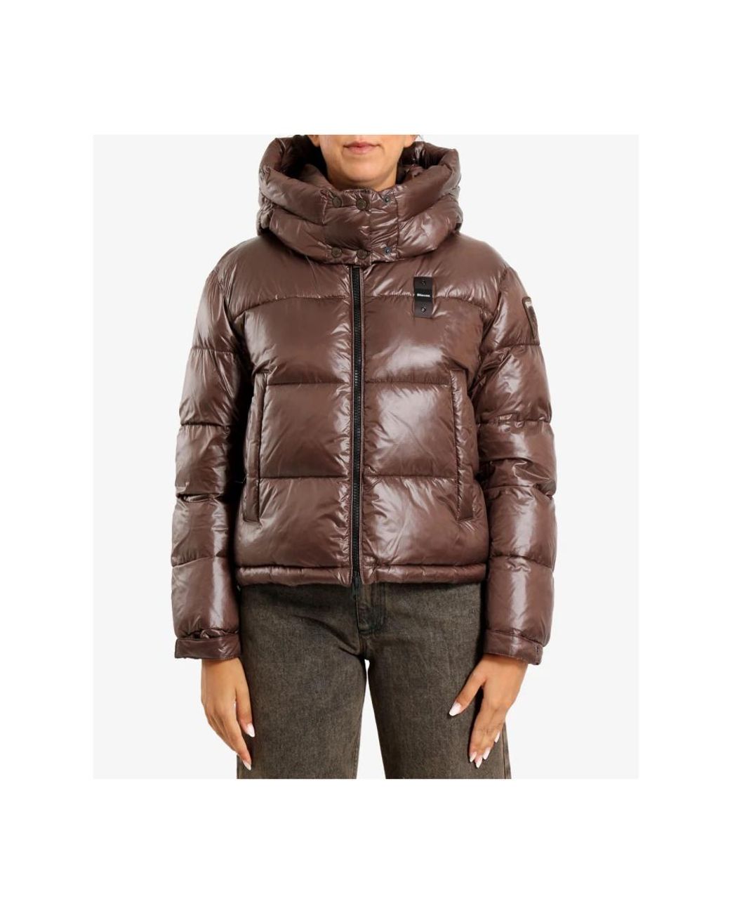 Winter Jackets Blauer de color Brown