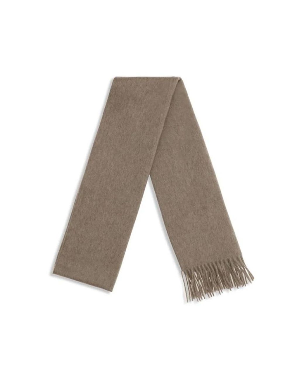 Max Mara Brown Winter Scarves