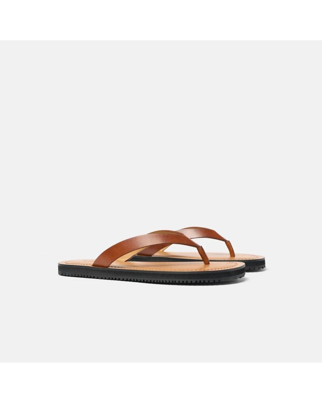 Scarosso Brown Flip Flops for men