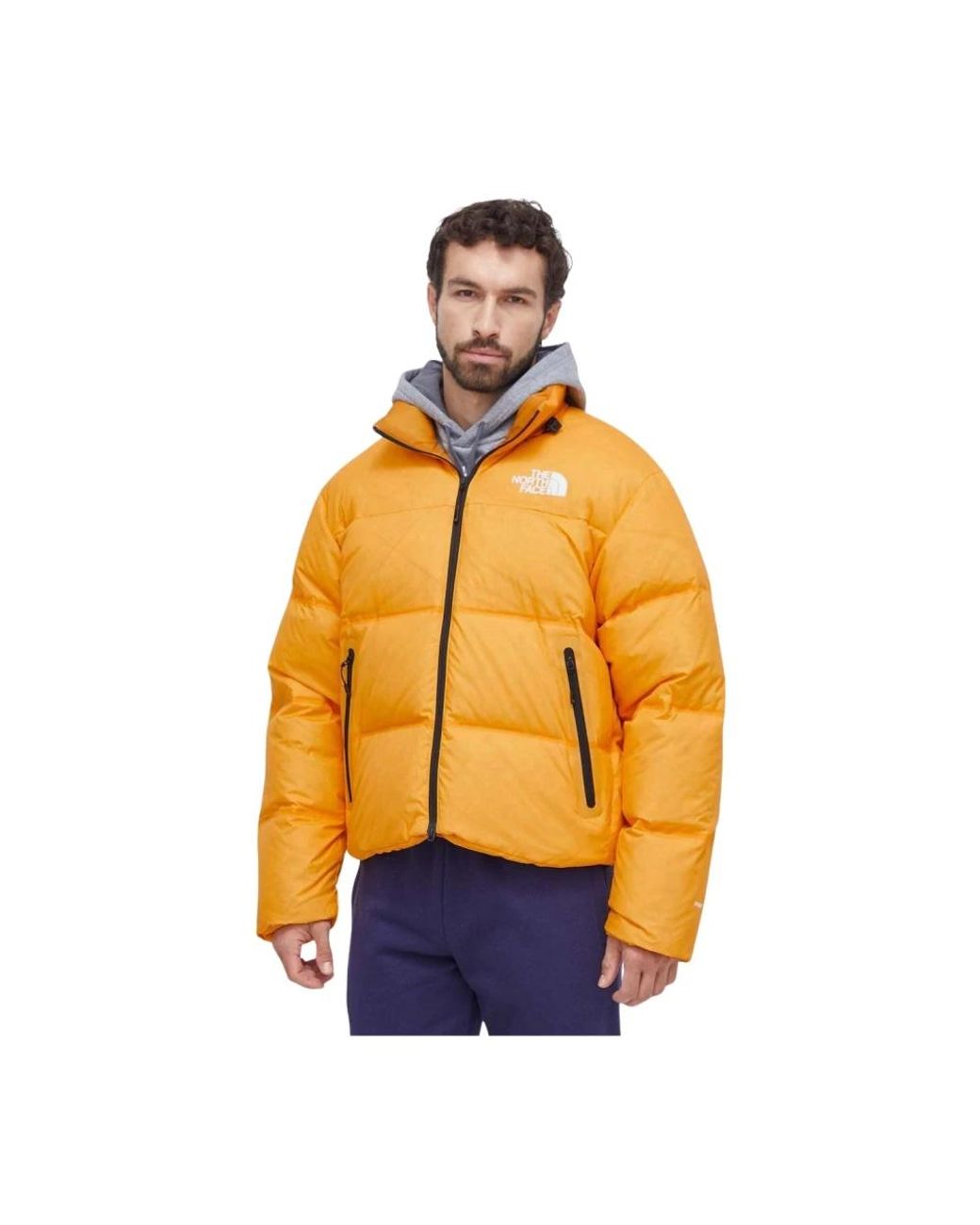 The North Face Ski Jassen in het Metallic voor heren