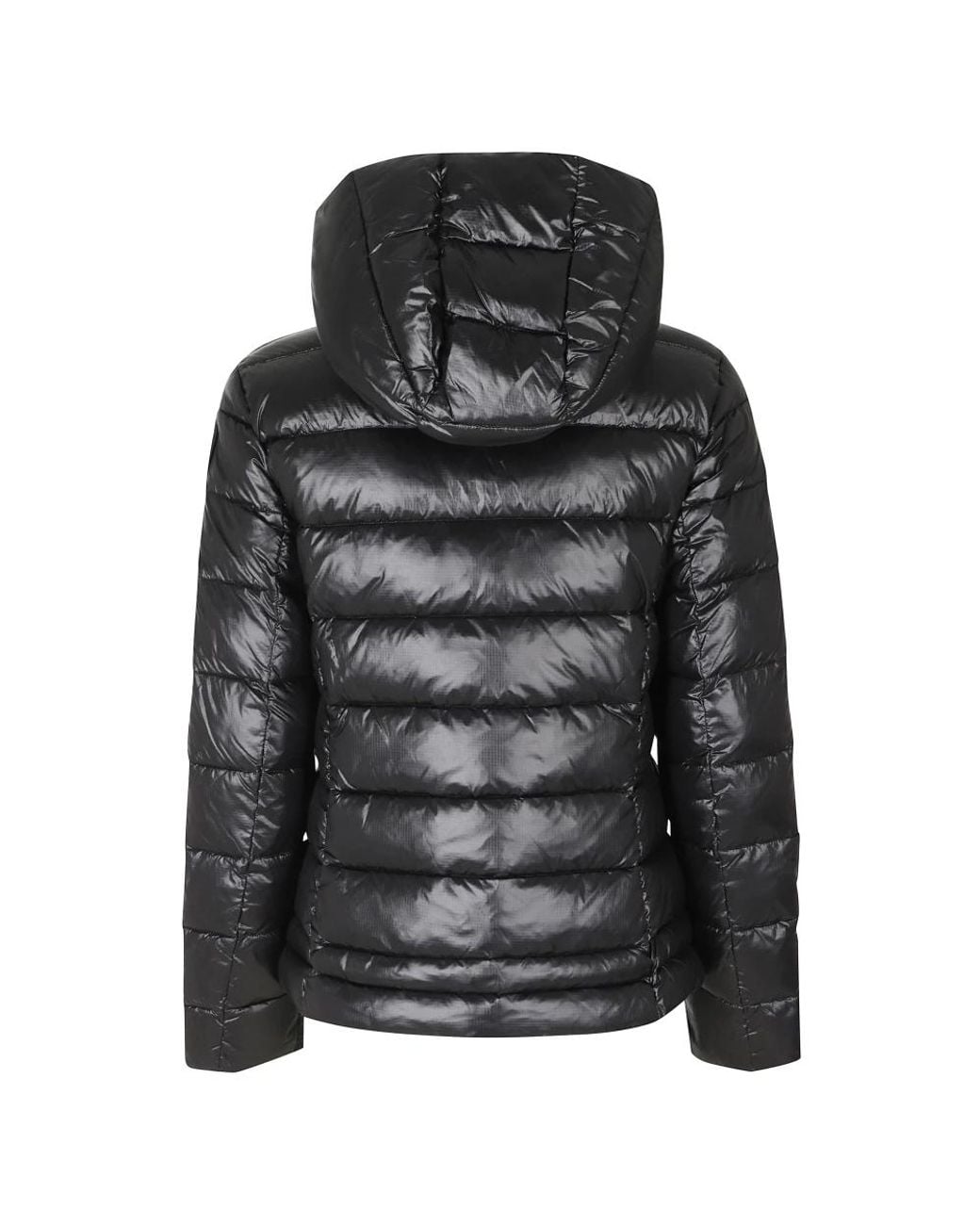 Winter Jackets Blauer de color Black