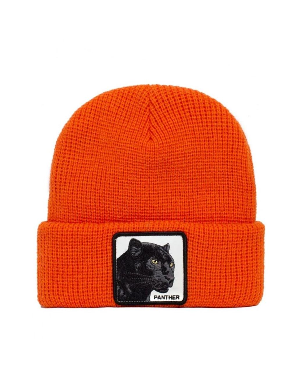 Goorin Bros Orange Accessories