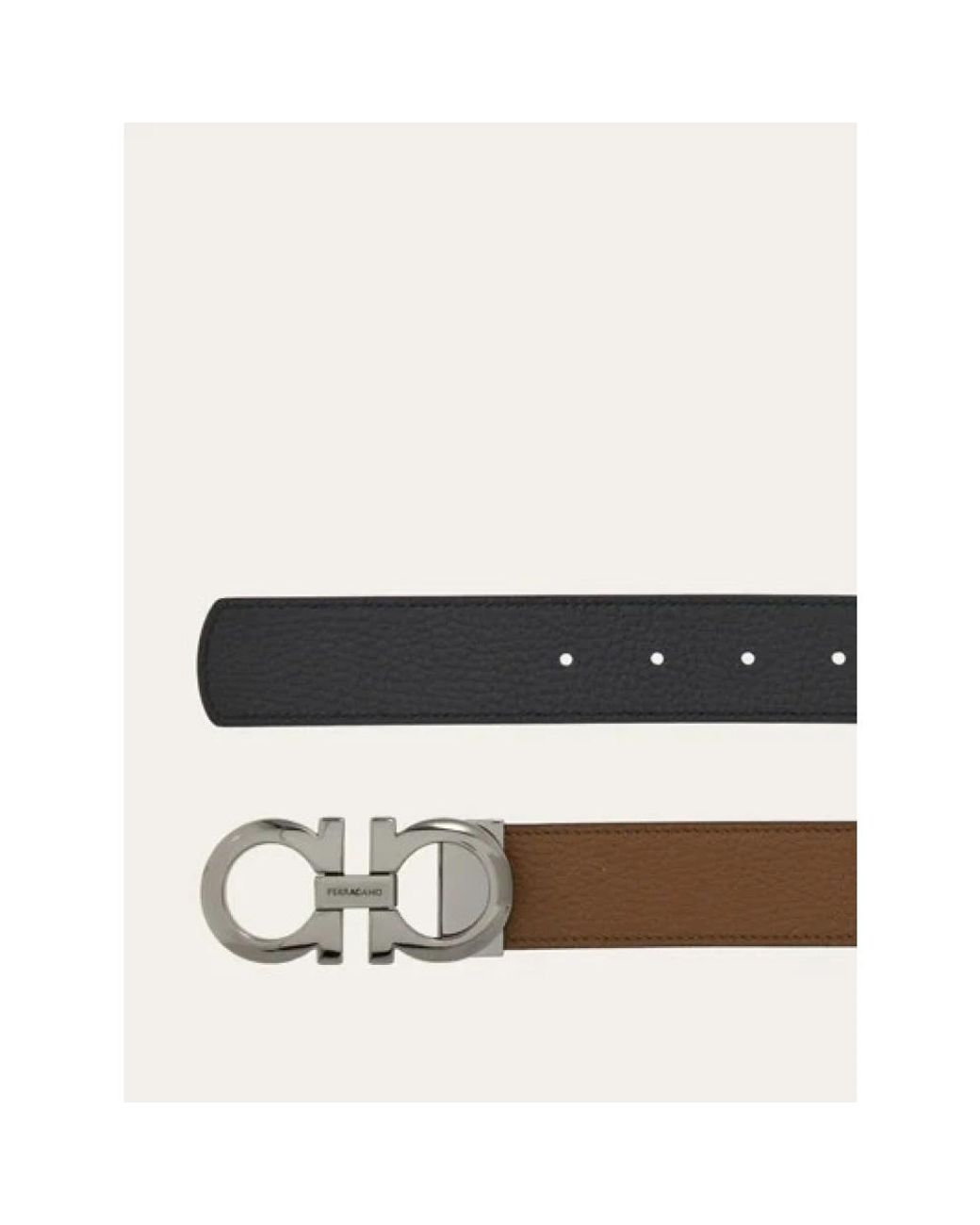 Ferragamo Brown Belts for men