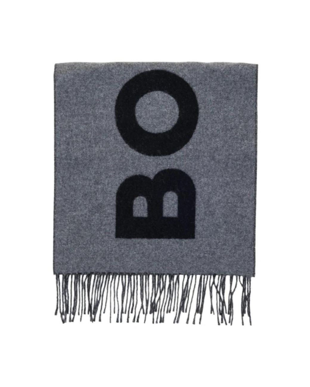 Boss Gray Winter Scarves for men