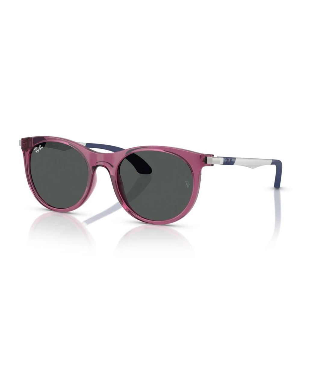 Ray-Ban Gray Sunglasses