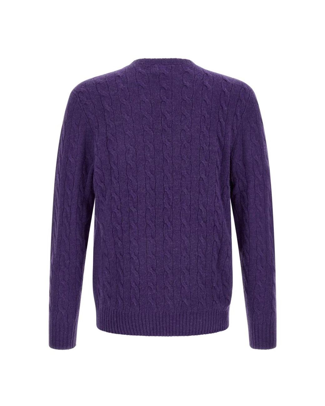 Polo Ralph Lauren Purple Round-Neck Knitwear for men