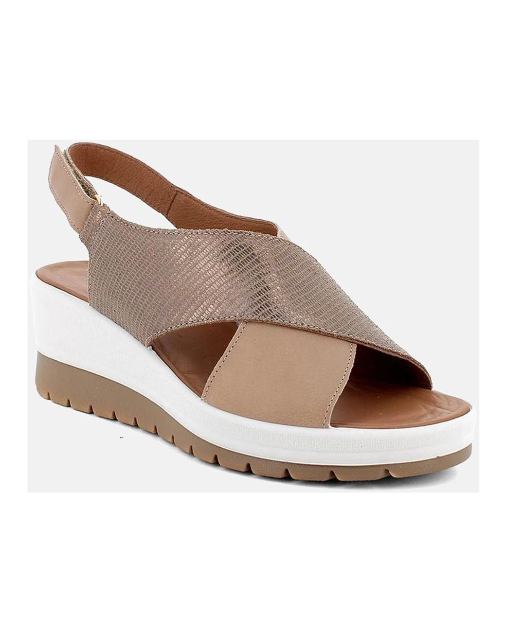 Wedges Igi&co en coloris Brown