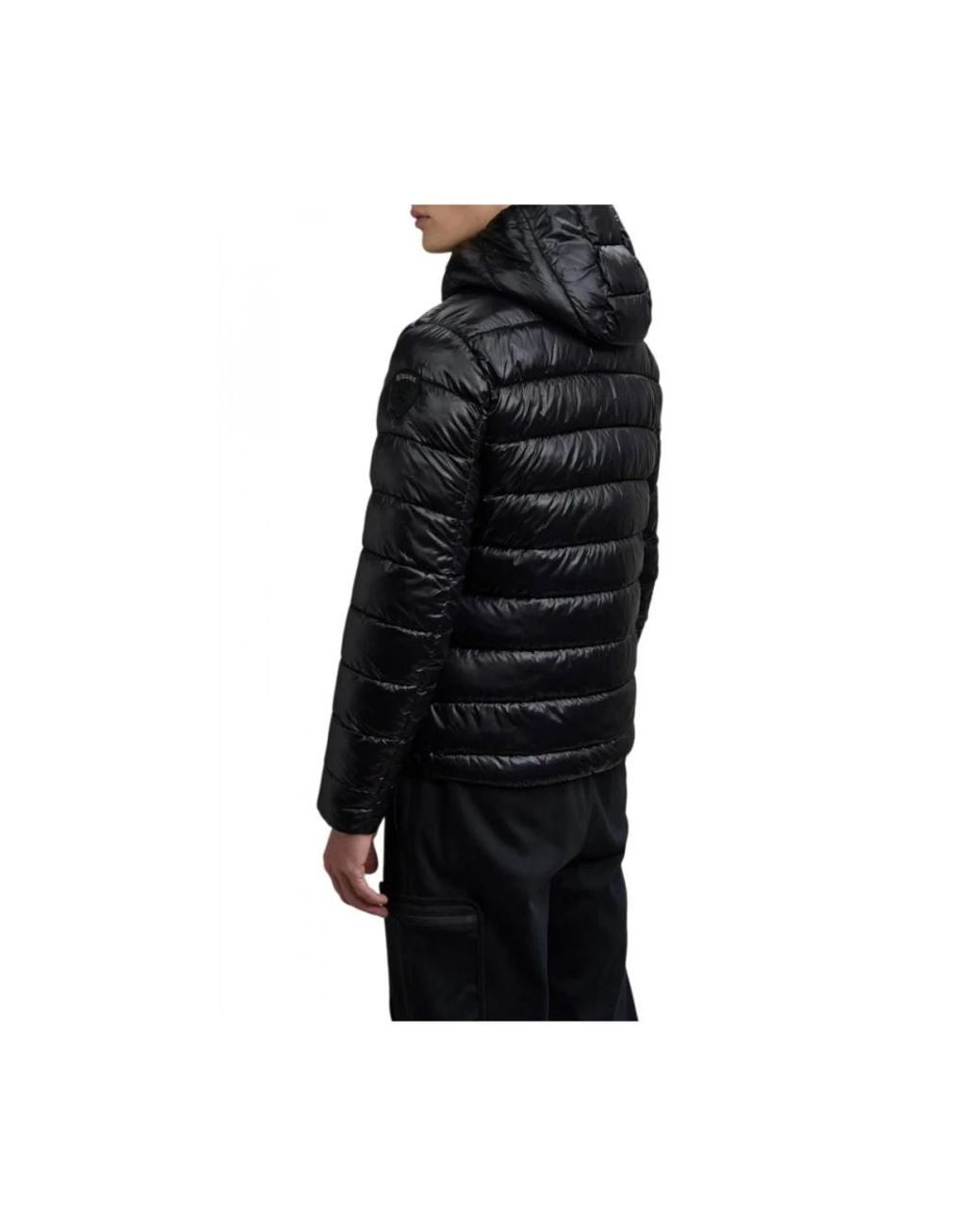 Blauer Black Winter Jackets for men