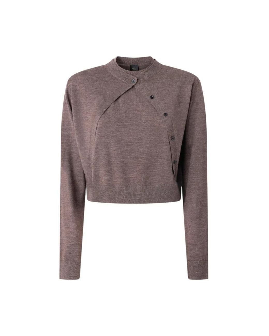 Pinko Brown Round-Neck Knitwear