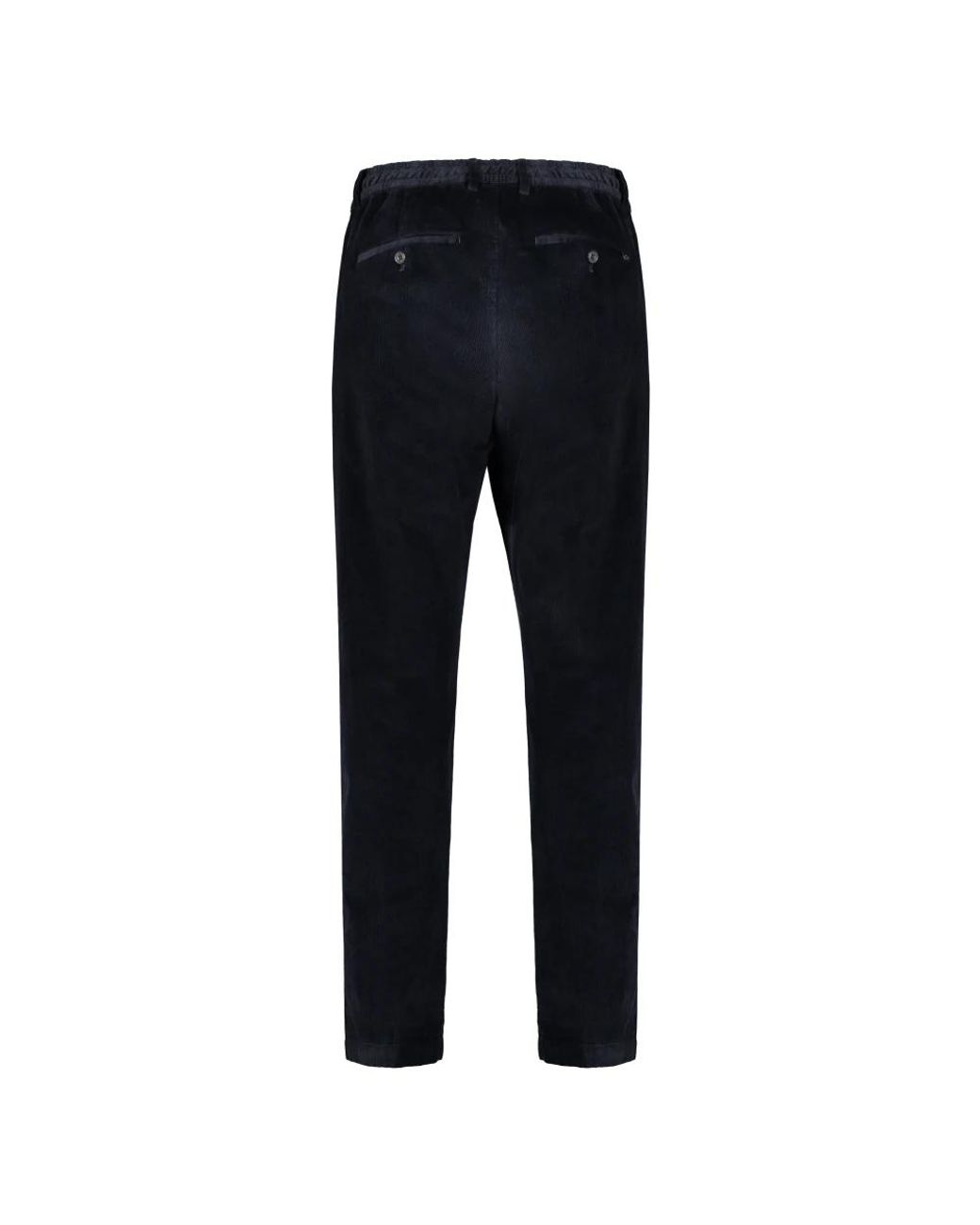 Paul & Shark Blue Chinos for men