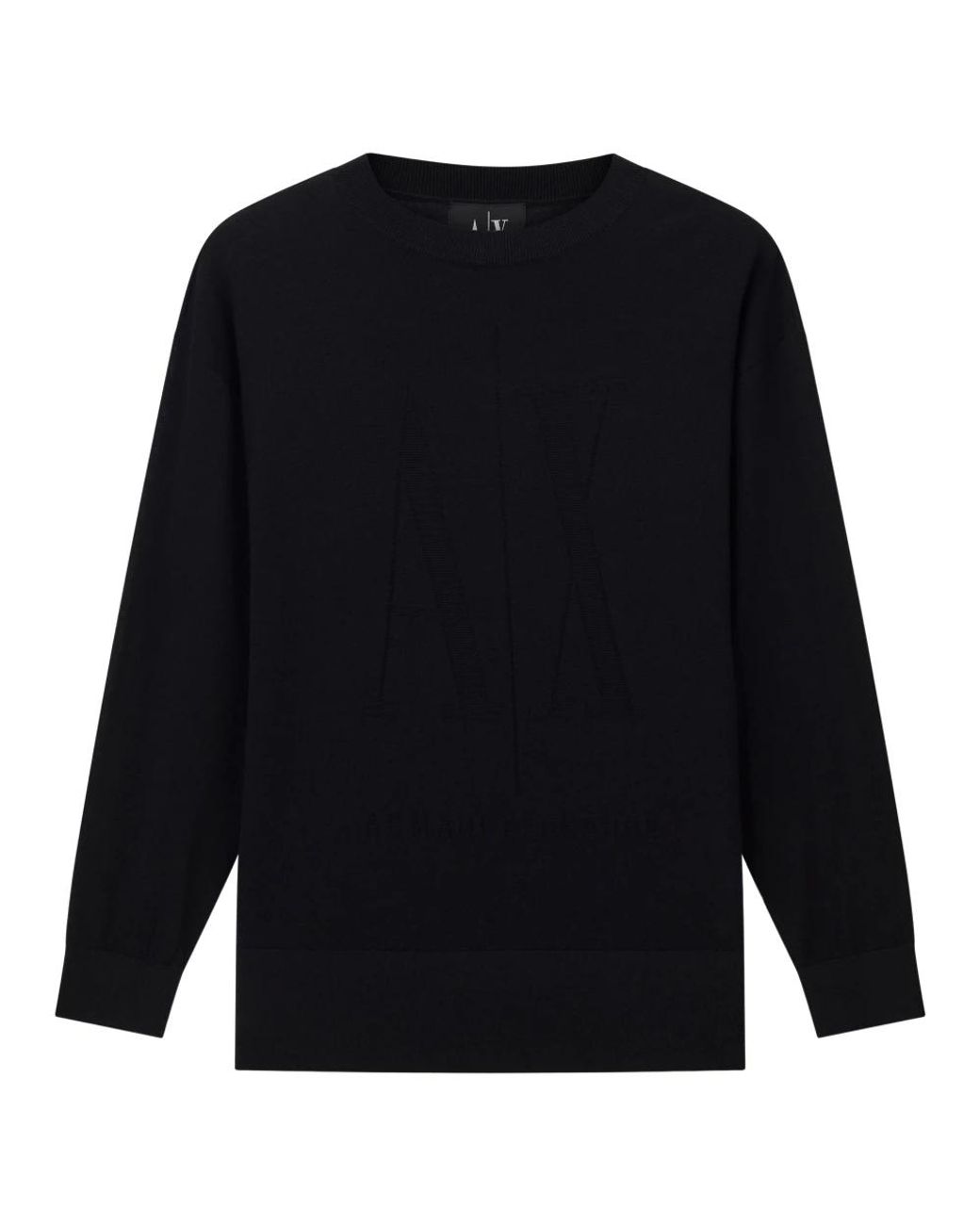 ARMANI EXCHANGE Blue Round-Neck Knitwear for men