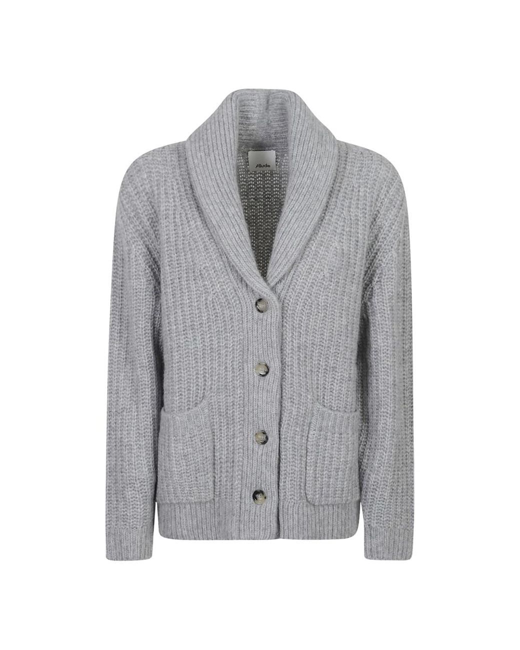 Allude Kasjmier En Zijden Vest in het Gray