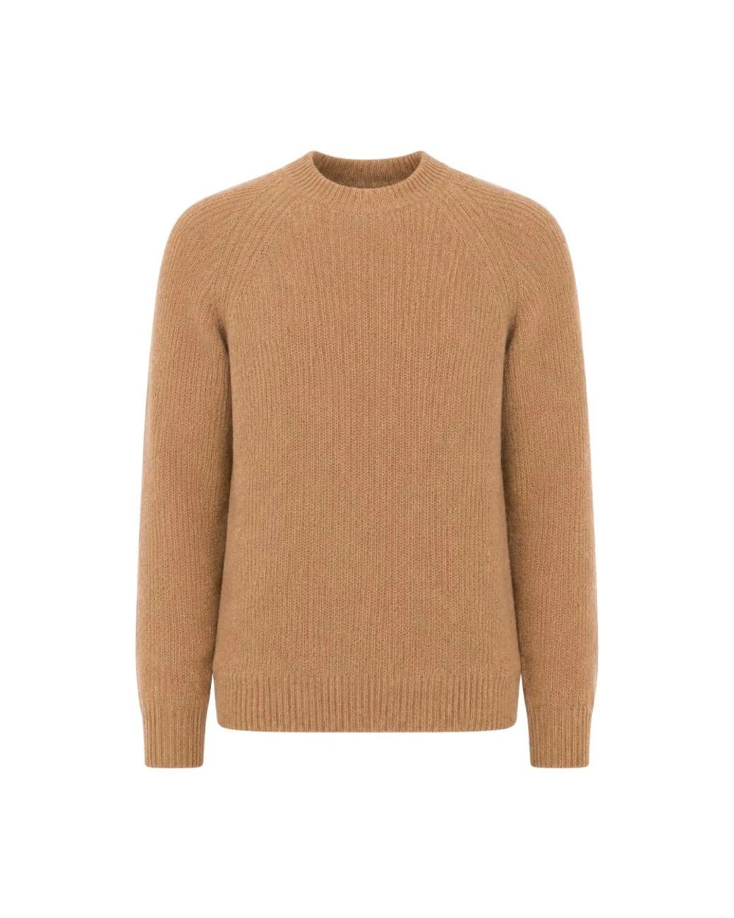 Laneus Brown Round-Neck Knitwear for men