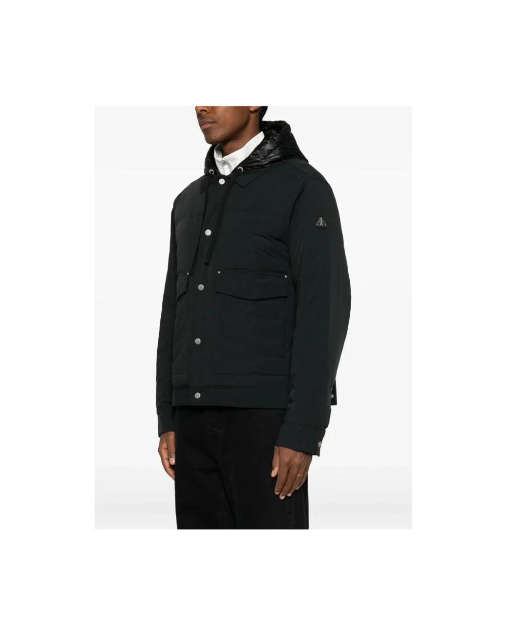 Light Jackets Moose Knuckles de hombre de color Black