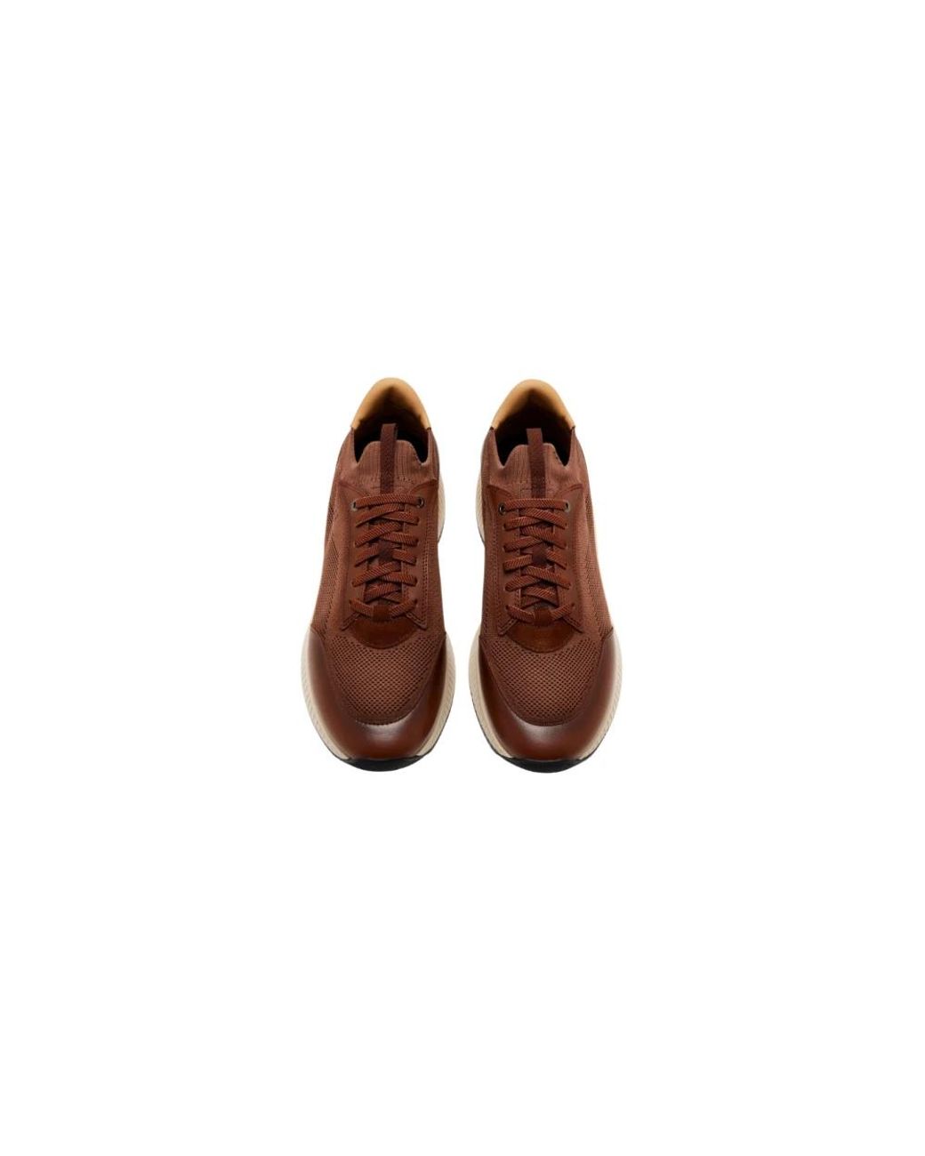 Boss Brown Sneakers for men