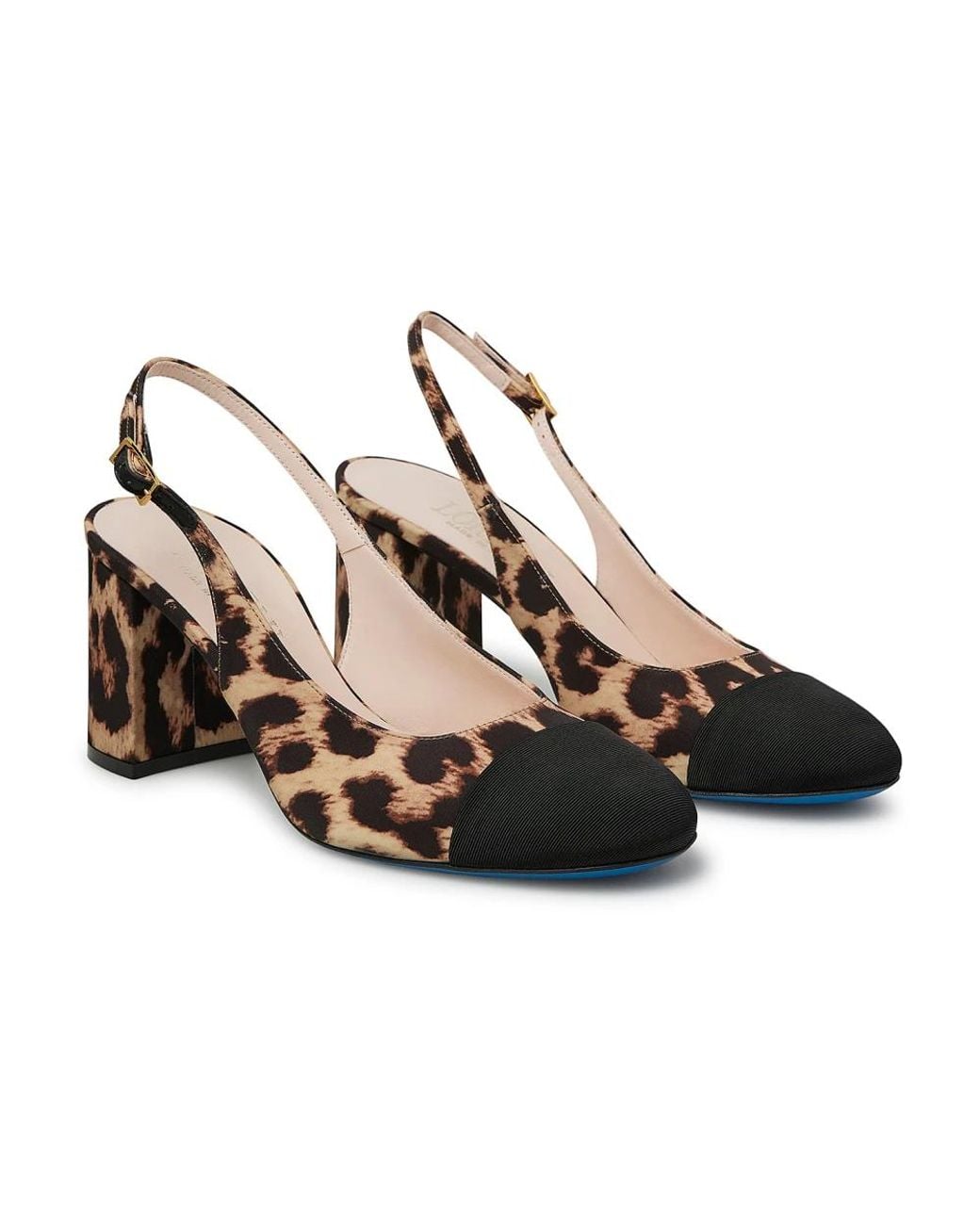 Pumps Loriblu en coloris Brown